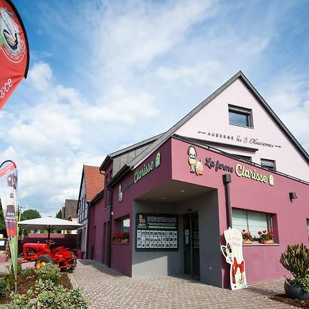 Les 3 Alsaciennes Apartamento Sigolsheim Exterior foto