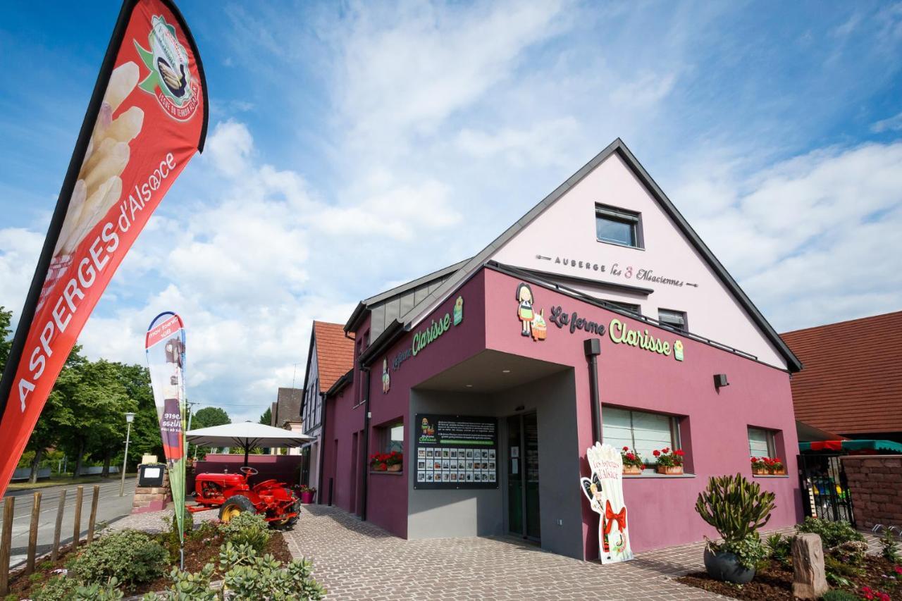 Les 3 Alsaciennes Apartamento Sigolsheim Exterior foto